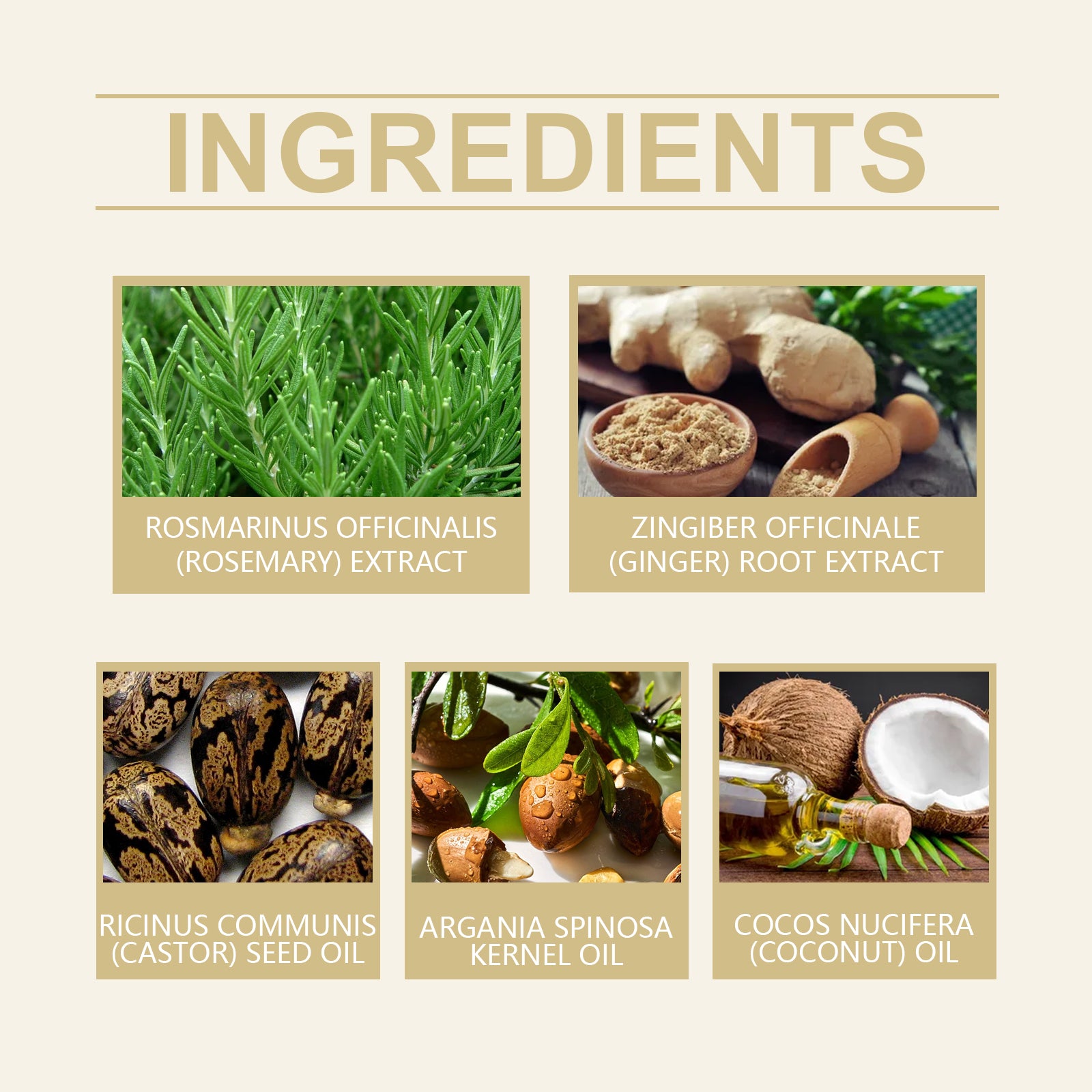 Rosemary Ginger Hair Growth Spray for Thinning & Dry Hair