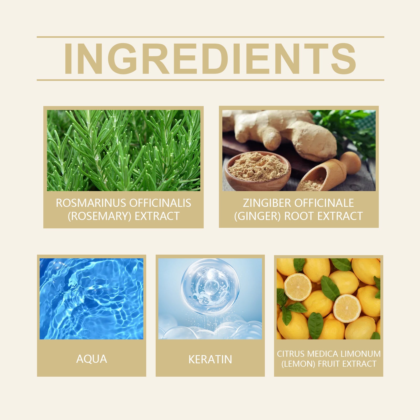Rosemary Ginger Shampoo for Dry Damaged Hair