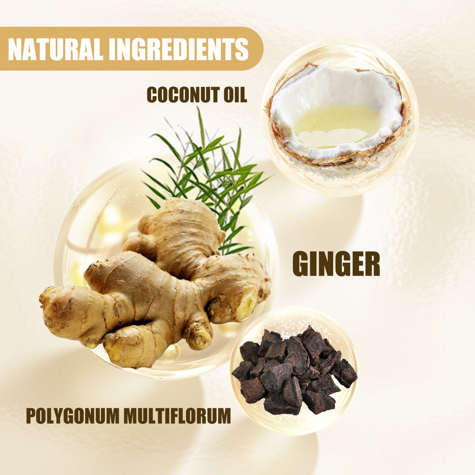 Ginger Hair Growth Shampoo for Thinning Hair